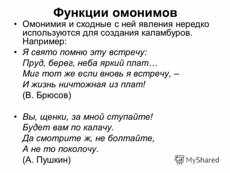 Омонимы в художественной литературе. Омонимы примеры слов 5 класс. Функции омонимов в русском языке. Функции омонимов. Омонимы в литературе.