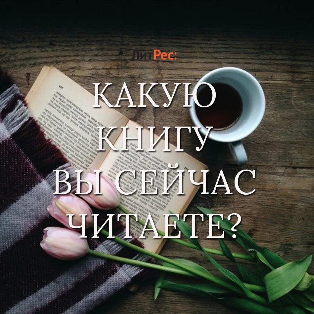 Какие книги тебе понравится. Почитать книгу. Какие книги сейчас читают. Какие книги читать. Какую книгу вы сейчас читаете.