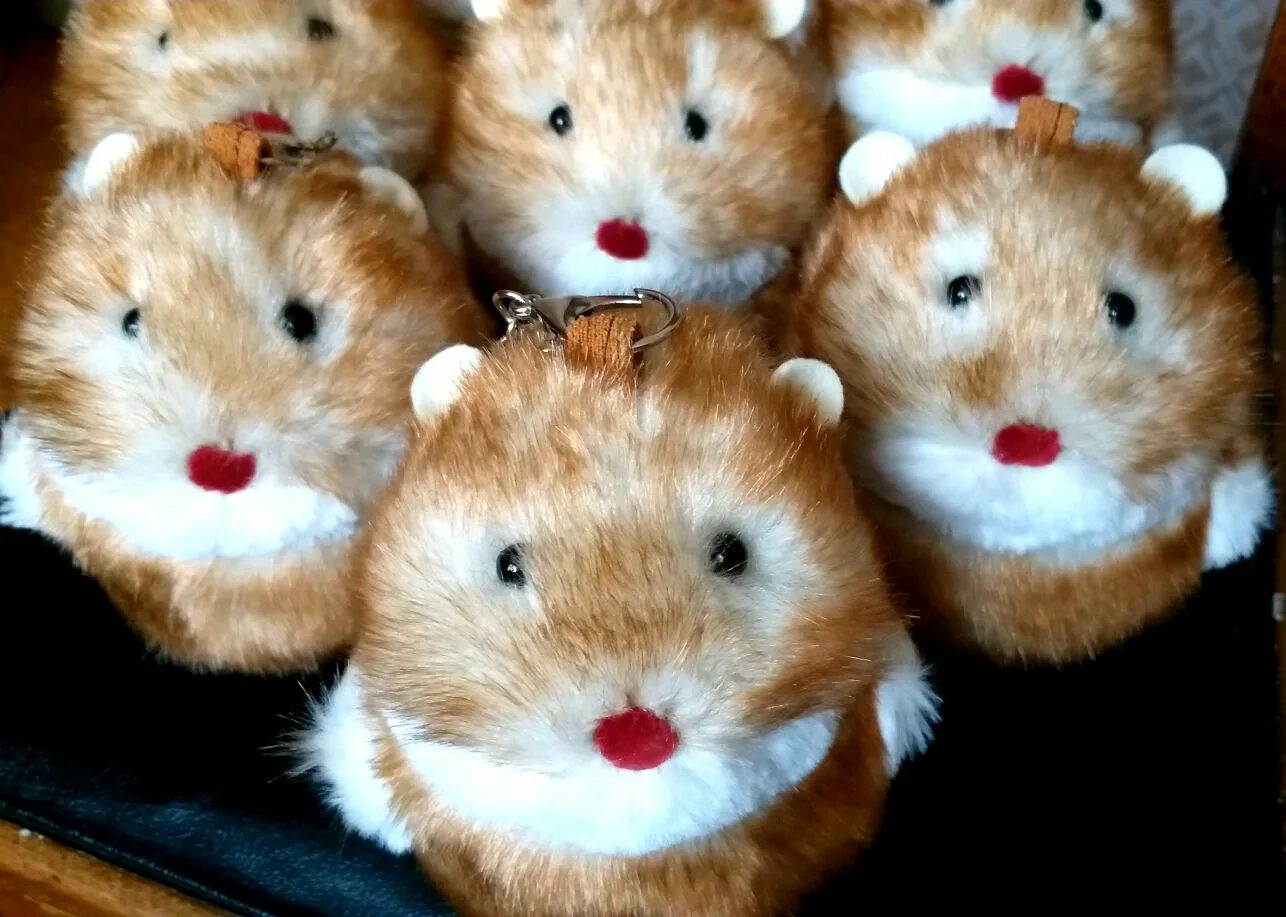 хомяк интернет магазин. клетка для хомяка. хомяк джунгарский маленький. хомяк интернет магазин. клетка для хомяка 4 лапы.