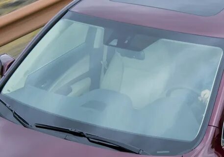 Windshields glass