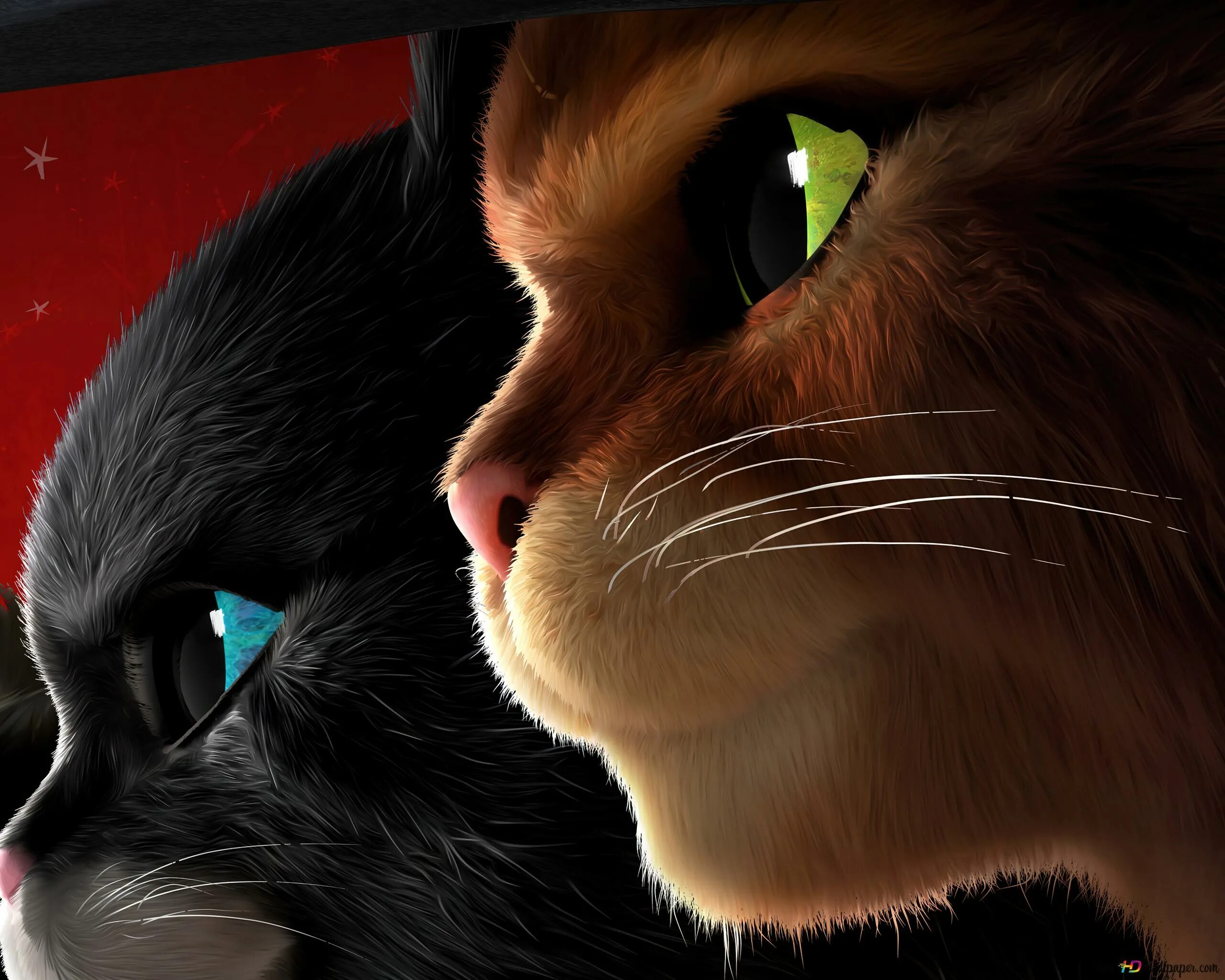 Кот в сапогах 2 последнее желание субтитры. Мультфильм кот в сапогах 2. Антонио бандерас кот в сапогах. Кот в сапогах 2 последнее желание субтитры. Кот в сапогах кадры.