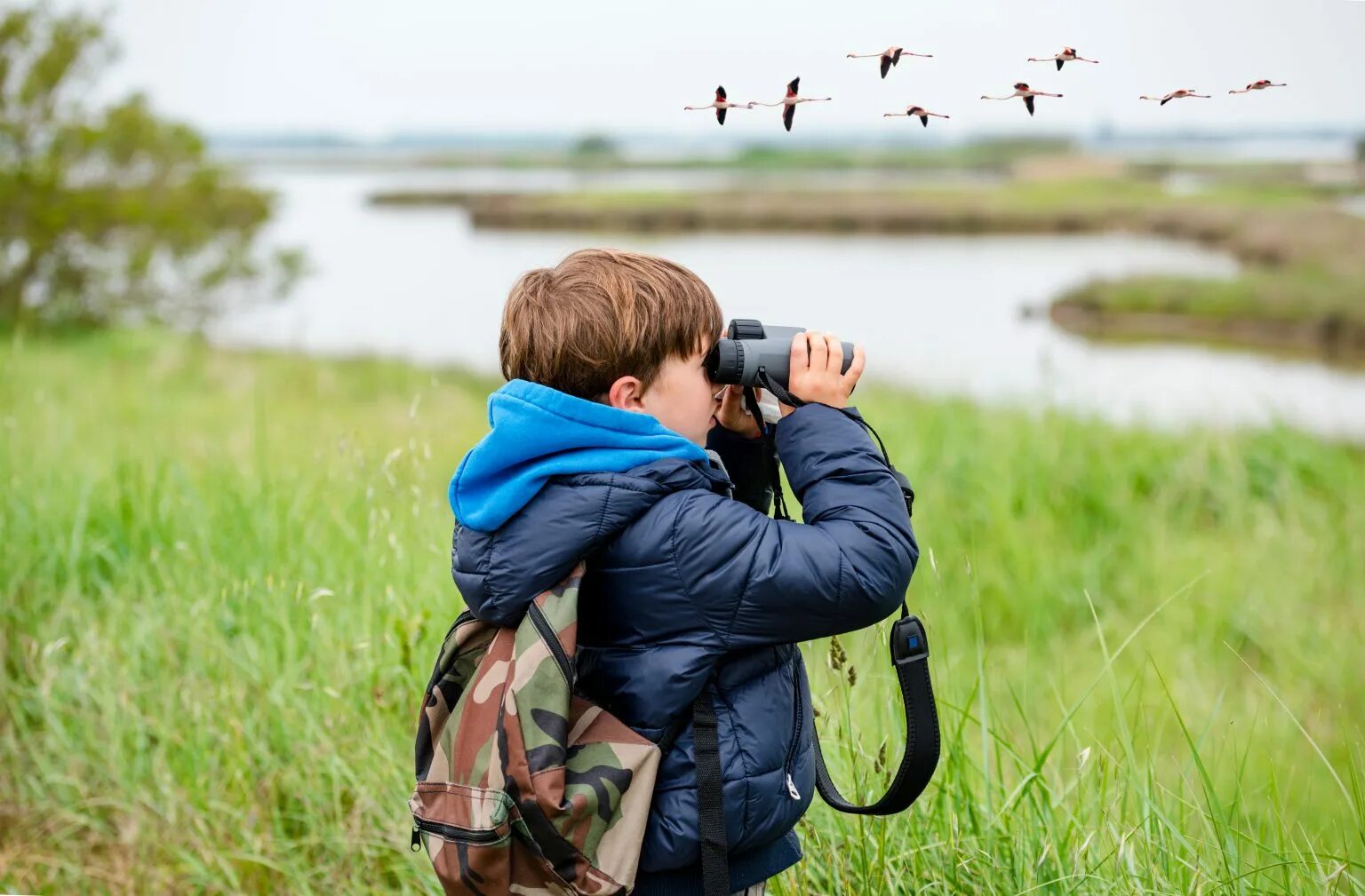 Наблюдать активный. Наблюдение за птицами. Наблюдение за птицами дети. Бинокль для наблюдения за птицами. Наблюдение за птицами летом.