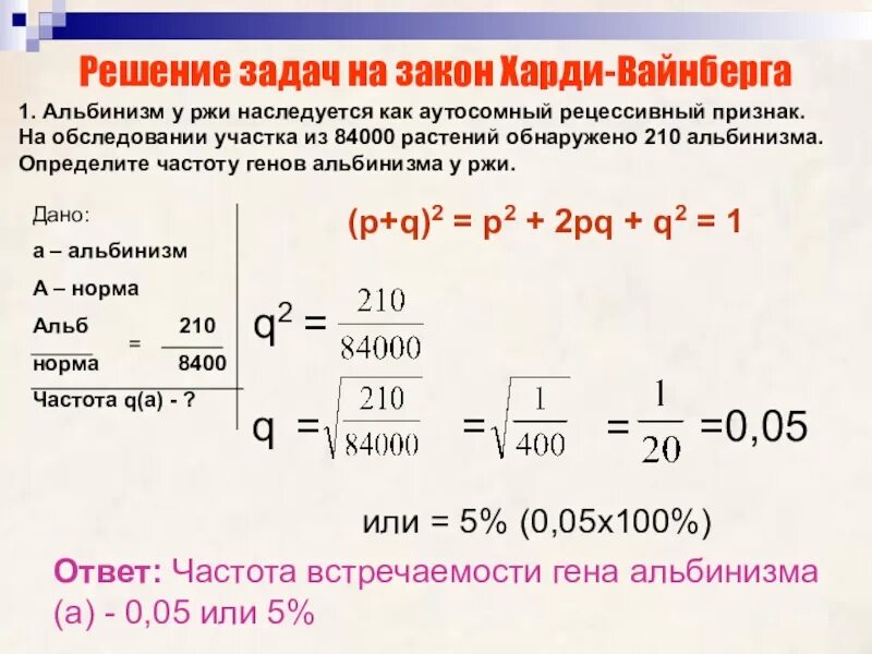 Задачи по Харди Вайнбергу. Генетика популяций закон Харди Вайнберга задачи с решением. Задачи на закон Харди Вайнберга. Формула Харди Вайнберга задачи с решением. Задачи харди вайнберга егэ 2024 биология