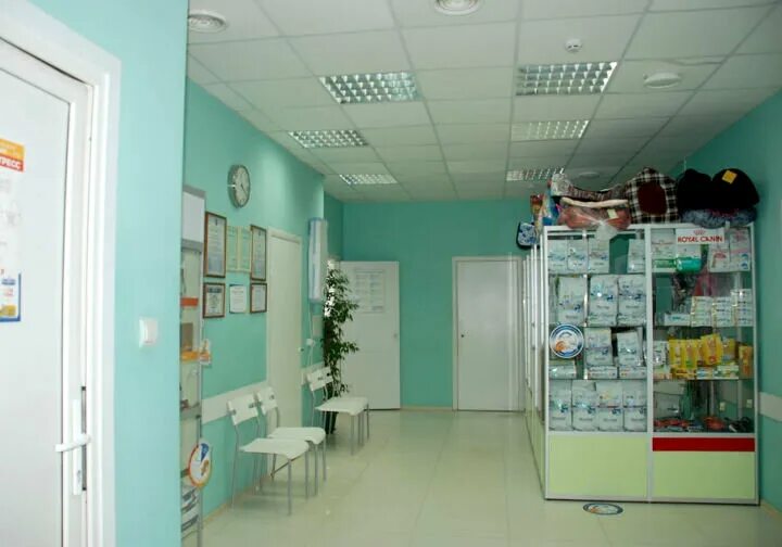 ветлечебница горького. клиника на горького красноярск. ул горького 20 биробиджан. улица горького 2 хабаровск ветеринарная клиника. ветлечебница горького.