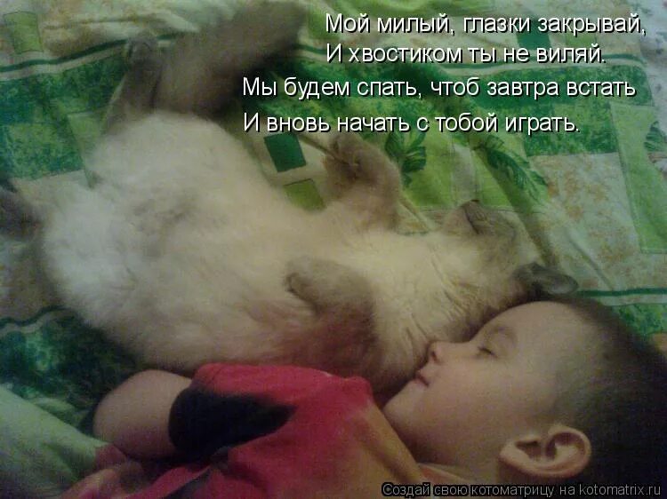 Смешные высказывания про сон. Ты работай а я посплю. Ложись спать завтра на работу. Нет работы спать ложимся. Доброе утро спать хочется.