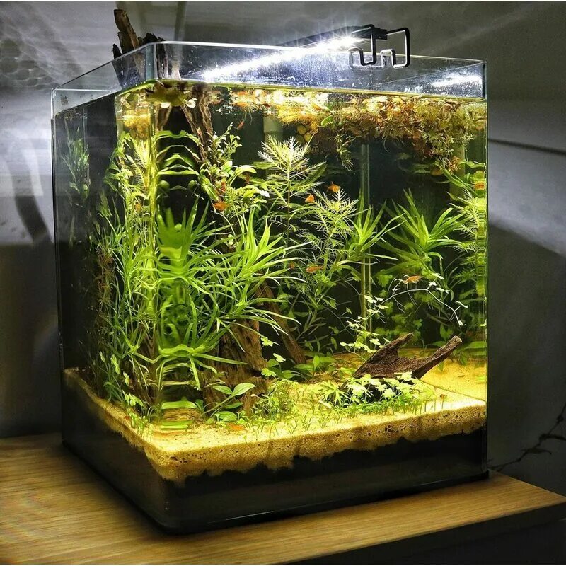 Nano cube. Аквариум Dennerle NANOCUBE 30l. Акваскейпинг нано куб 30. Nano Cube палюдариум. Dennerle Nano Cube 60.