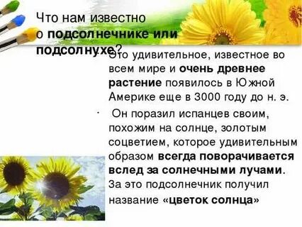 Загадка про подсолнух