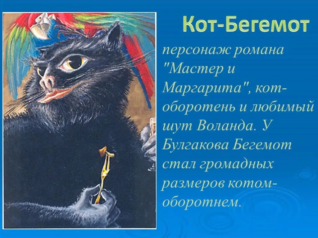 Кот герой произведений