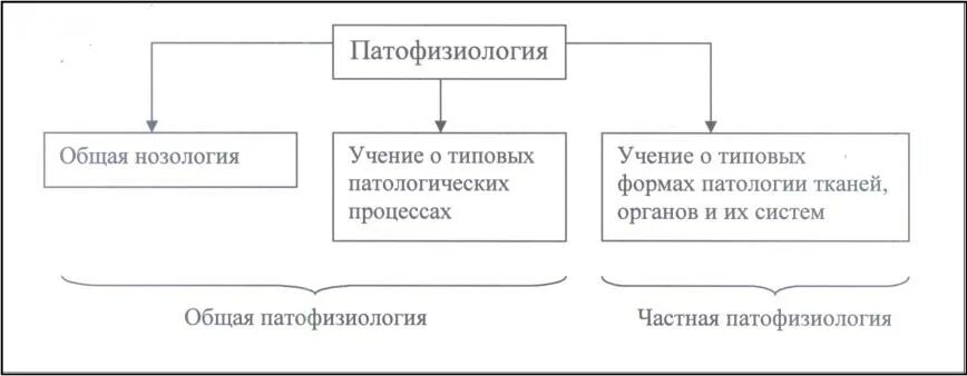 Патфиз это