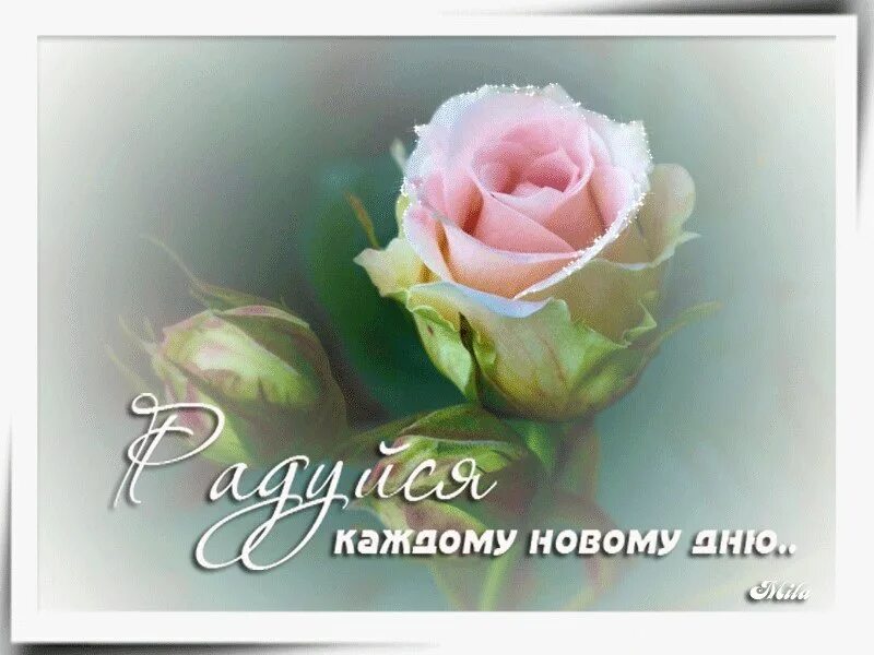 Счастливая девушка радуга. Цитаты. Весенние мгновения. Каждый день жизни уникален. Красивые мгновения.