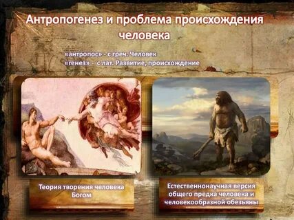 Зарождение отзывы