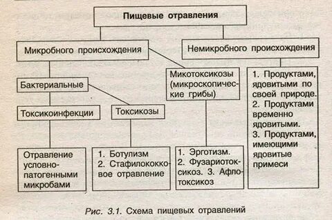 Таблица пищевые инфекции