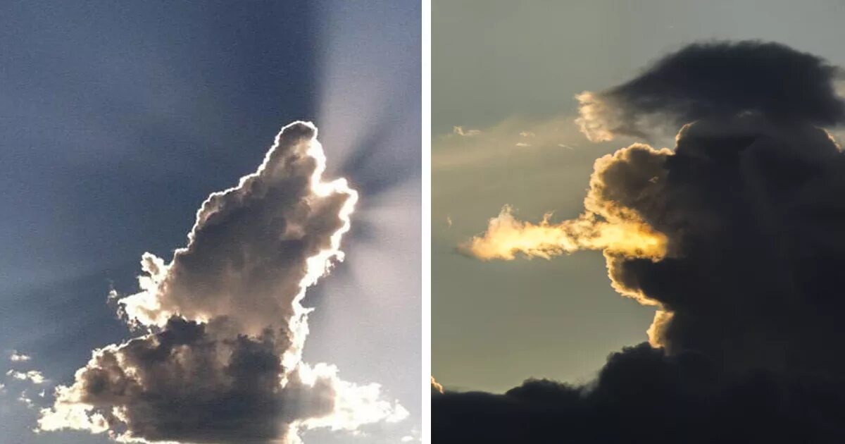 Обитатель облаков. Фигуры из облаков. Облака похожие на животных. Облака в форме животных. Облака в форме волка.