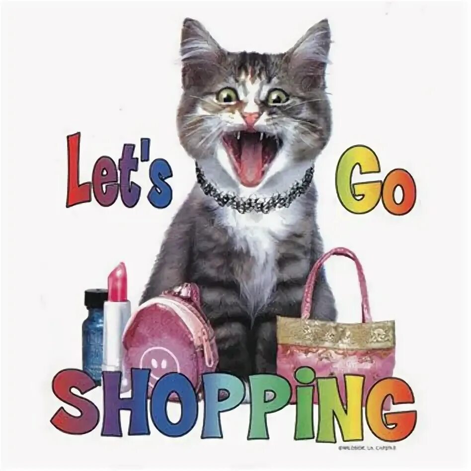 Let&#039;s go shopping let&#039;s we. Кошка на шоппинге. lets go shopping.