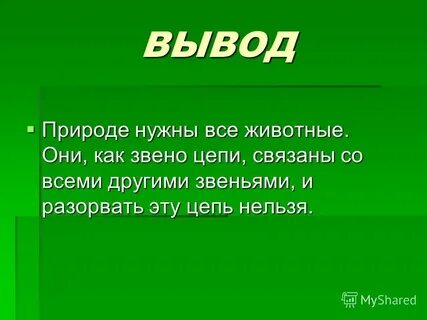 Животный мир вывод