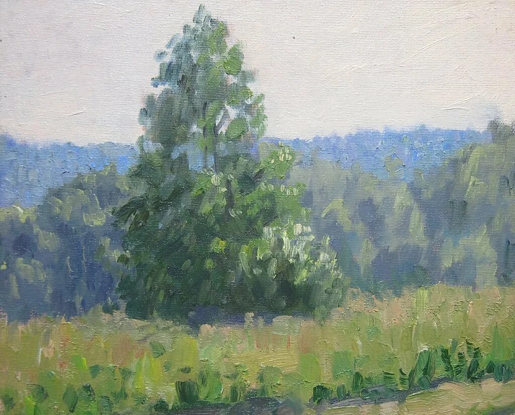 Этюды пленэр левитан. Пейзаж литвы этюды. Кратковременные этюды пейзажа на большие отношения. Этюды маслом пейзаж. Пленерные этюды живопись масло.