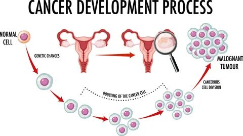 Download Diagram showing normal and cancer cells in human for free.