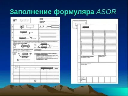 Формуляр инструкции