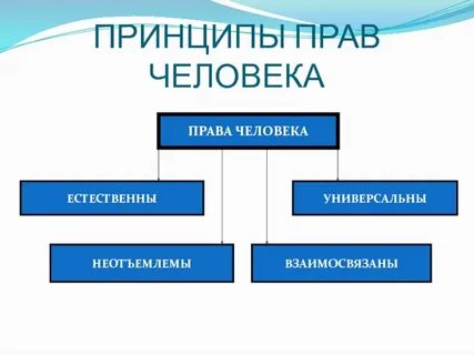 Общие правовые принципы это