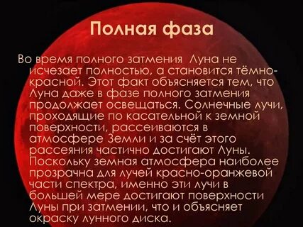 Полнота времен
