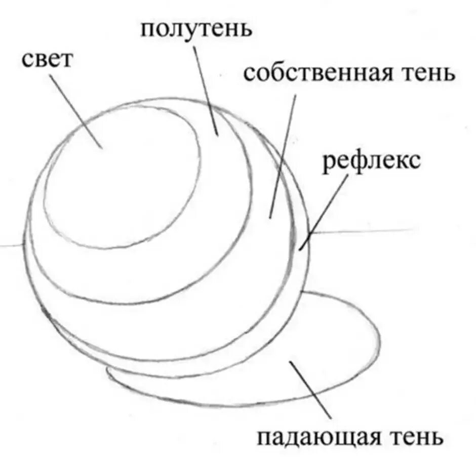 Шар построение штриховка. Основы светотени в рисунке. Поэтапное рисование шара. Светотень в рисунке карандашом шар. Схема света и тени