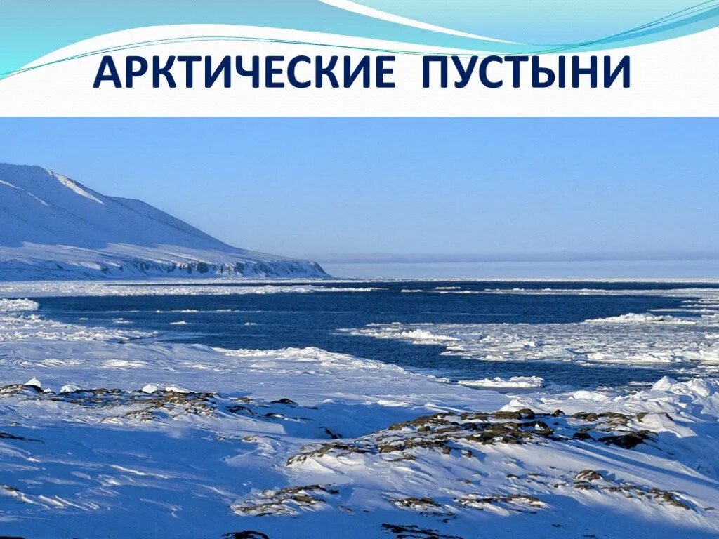 Арктическая зона северной америки. Природная зона арктических пустынь. Зона арктических пустынь Северной Америки. Арктические пустыни природная зона. Арктические пустыни презентация.