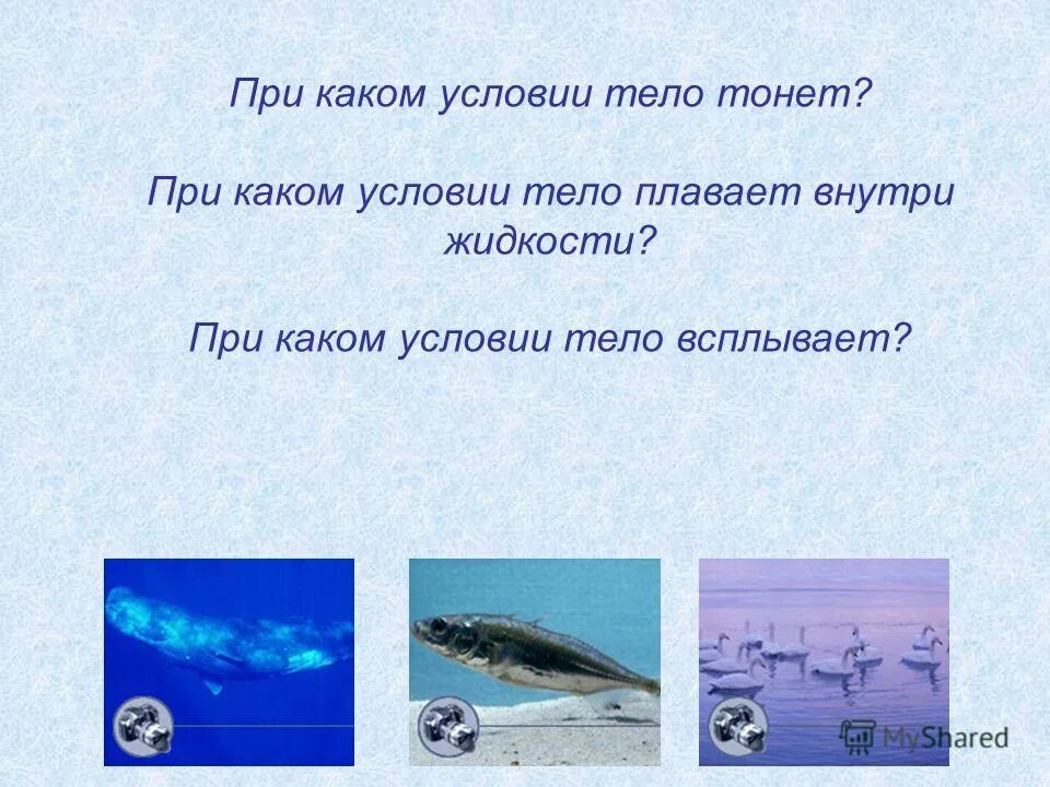 При каких условиях тело плавает внутри жидкости. При каких условиях тело тонет. При каком условии тело тонет в жидкости. Приткаком условии тело тонет. При каких условиях тело всплывает плавает и тонет.