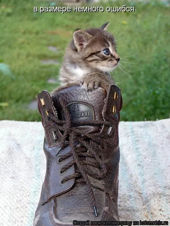 Генетика юмор. Ошибся немного. Смешные сапоги. Опыт мем. Стишок по кастрацию.