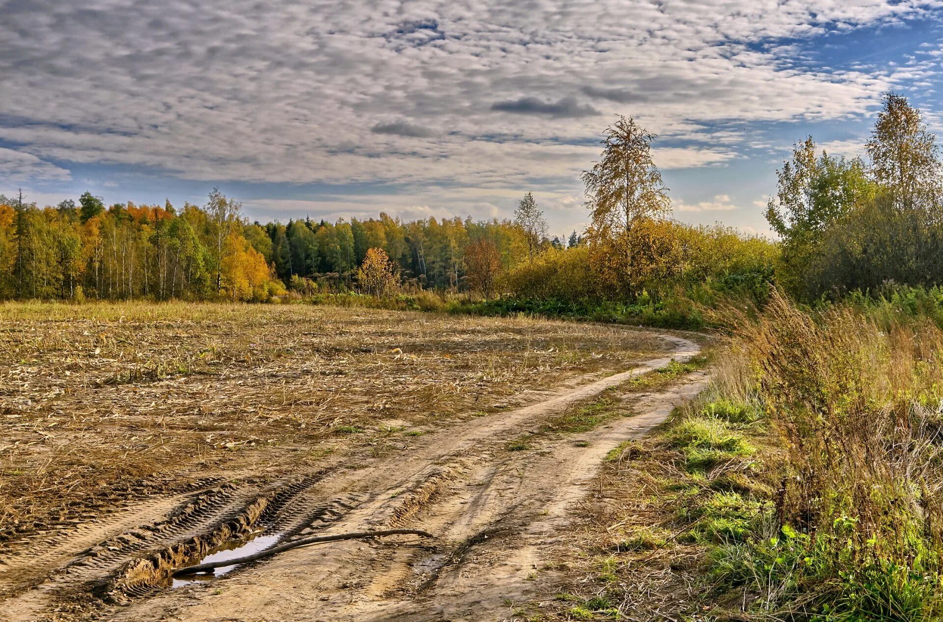 Тесаные дороги. Осенняя Проселочная дорога. Поле осеннее Проселочная дорога. Лес Проселочная дорога Россия. Проселочная дорога осенью.