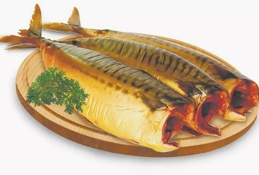 Копченая рыба скумбрия. Скумбрия холодного копчения. рыба скумбрия холодного копчения. балык скумбрии холодного копчения. скумбрия хк бг.