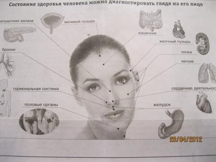 Диагностика по лицу. Диагноз болезни по лицу. Диагностика по лицу человека болезней. Диагностика нарушений в организме по лицу человека. Прыщи на лбу какой орган у женщин