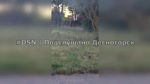 Подслушано в ростовском районе