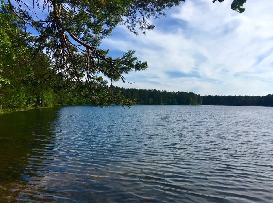 погода зеркальное ленинградская область. погода на зеркальном озере ленинградская область. зеркальное озеро псков. погода зеркальное ленинградская область. фото зеркального озера ленобласти.