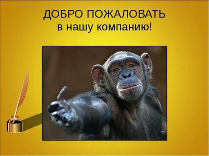 Добро пожаловать в семью рассказ на дзене