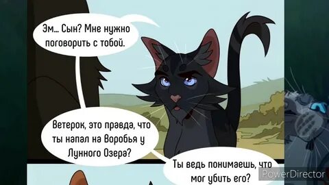 Трикки тесты коты воители