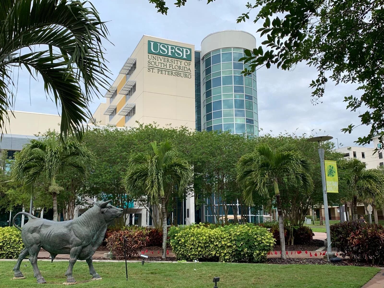 University of South Florida. Кампус University of Florida. University of South Florida Tampa, FL. University of South Florida Tampa Campuses. University of florida