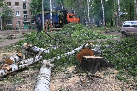 В кировском районе участка