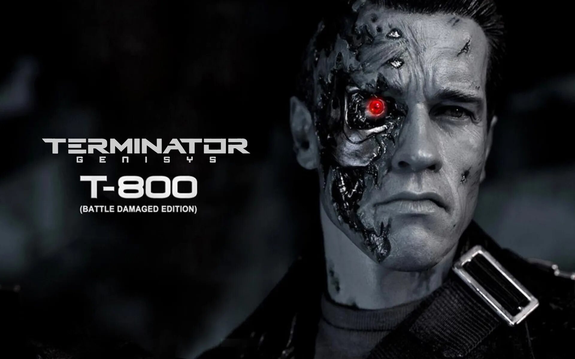 Terminators терминаторы. T 800 Terminator Шварценеггер. Терминатор 1 t800.