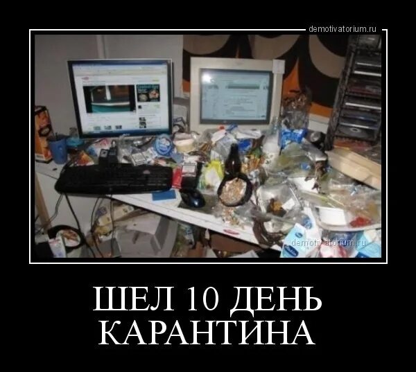 И это был десятый день. Карантин демотиватор. шел день карантина прикол. работник демотиватор.