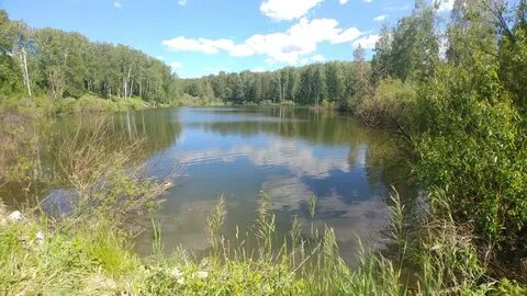 Погода в кунчуруке болотнинского