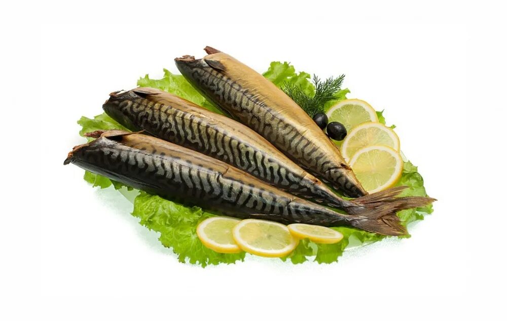 Копченая рыба скумбрия. Рыба скумбрия х/к. рыба скумбрия холодного копчения. скумбрия х/к вес. скумбрия холодного копчения без головы.