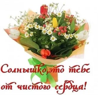 От всего сердца что это