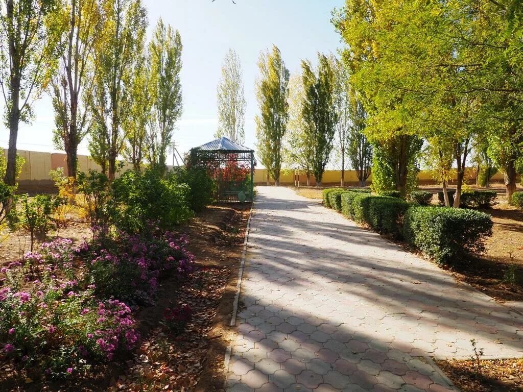 психоневрологический интернат краснодарский край. пни краснодарского края отрадненского района ст передовая. психоневрологические интернаты краснодарского края золотая осень. психоневрологические интернаты краснодарского края золотая осень. психоневрологические интернаты краснодарского края золотая осень.