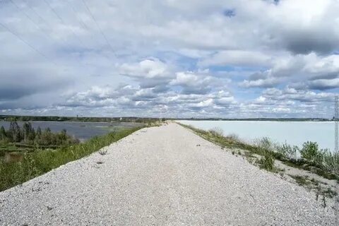Бел березники