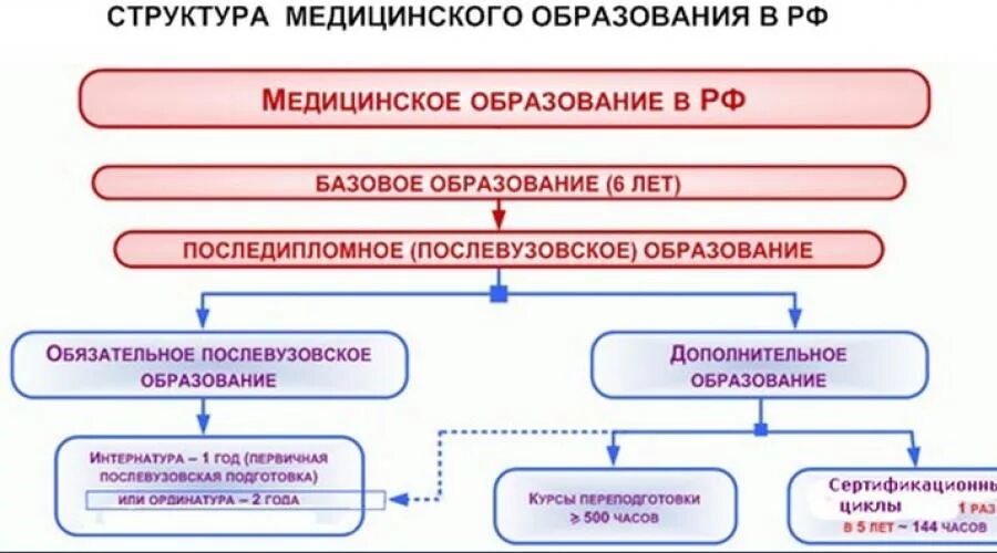 Квалификация организации здравоохранения. Медицинское образование в России схема. Структура образования врачей в России. Схема получения мед образования. Уровни мед образования в РФ.