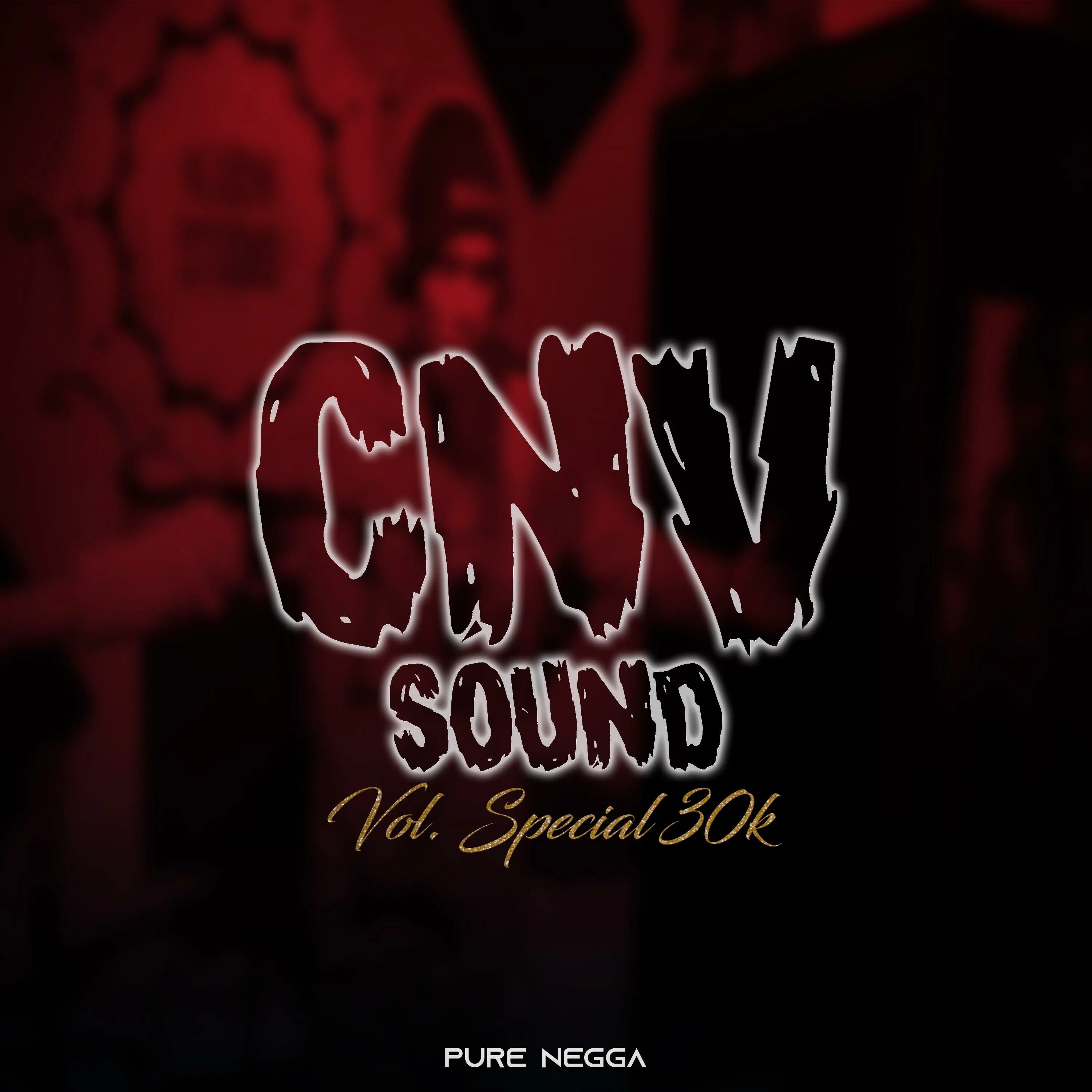 Pure negga skillz beatz vol 14. CNV Sound, Vol. 14 Pure Negga. CNV Sound Vol 14. Песня Pure Negga. CNV Sound, Vol. 14 обложка.