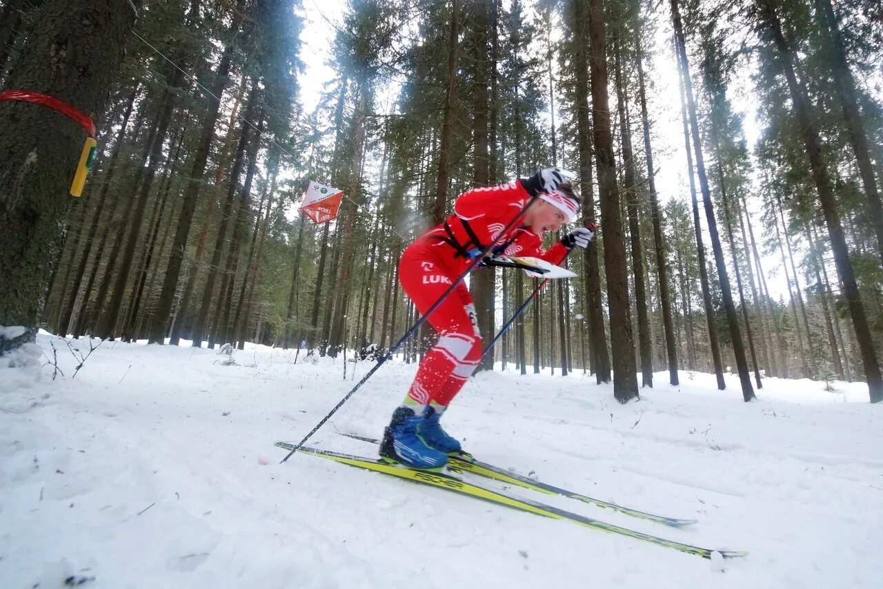 Карельское ориентирование. Ориентирование на лыжах. Лыжные гонки спортивное ориентирование. Спортивное ориентирование скандинавия. Фсо карелия ориентирование.