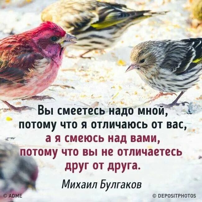 Потому что вы все не живете. Вы смеётесь надо мной. Цитаты вы смеетесь надо мной. Вы смеётесь надо мной потому. Булгаков вы смеетесь надо мной потому что я отличаюсь от вас.