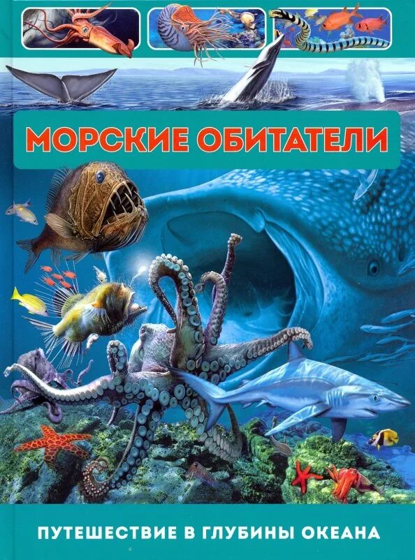 Родригес Кармен морские обитатели. Книга морские обитатели. Книги про морских обитателей для детей. Подводный мир книга для детей.