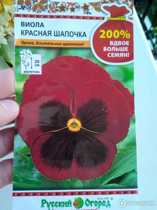 Цветы из фикс прайса семена. Тыква голосемянная сорта названия. Семена русский огород отзывы. Семена русский огород отзывы. Виола красная шапочка русский огород 0,2г.